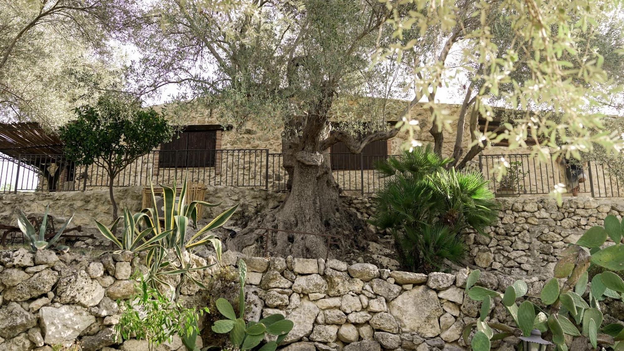 Roba Degli Ulivi Bed & Breakfast Agrigento Dış mekan fotoğraf