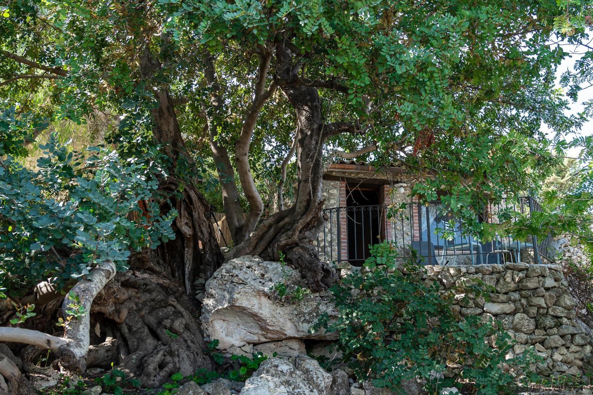 Roba Degli Ulivi Bed & Breakfast Agrigento Dış mekan fotoğraf